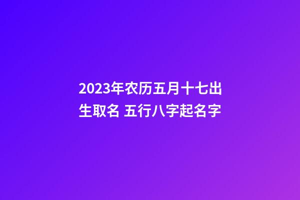 2023年农历五月十七出生取名 五行八字起名字